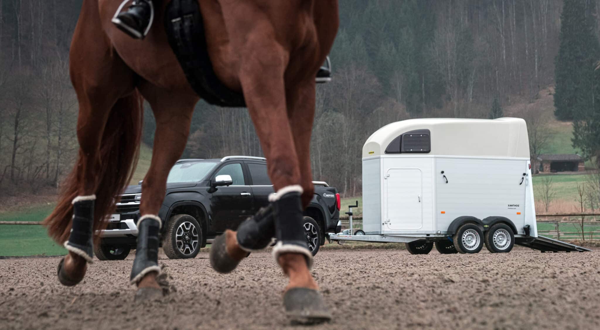 Pferdeanhänger Humbaur Xanthos 2400 kg mit Aluminium Seitenwänden, Aluboden• – Bild 9