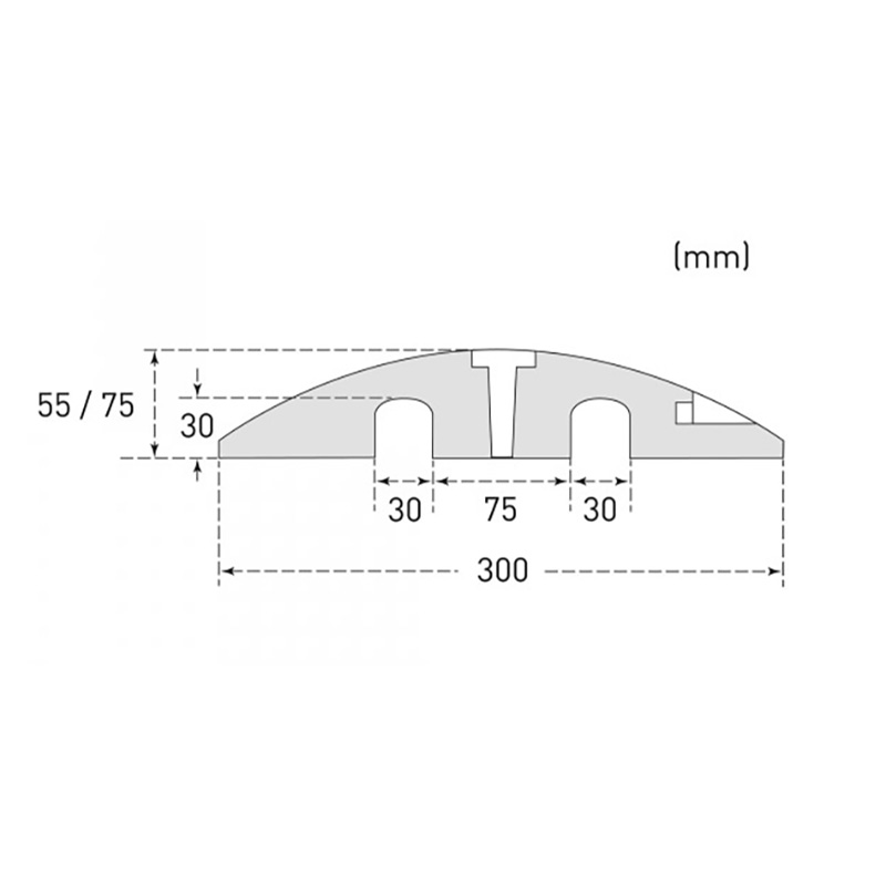Fahrbahnschwelle EasyRide 55 Moravia, Höhe 55 mm, bis 10 km/h – Bild 6