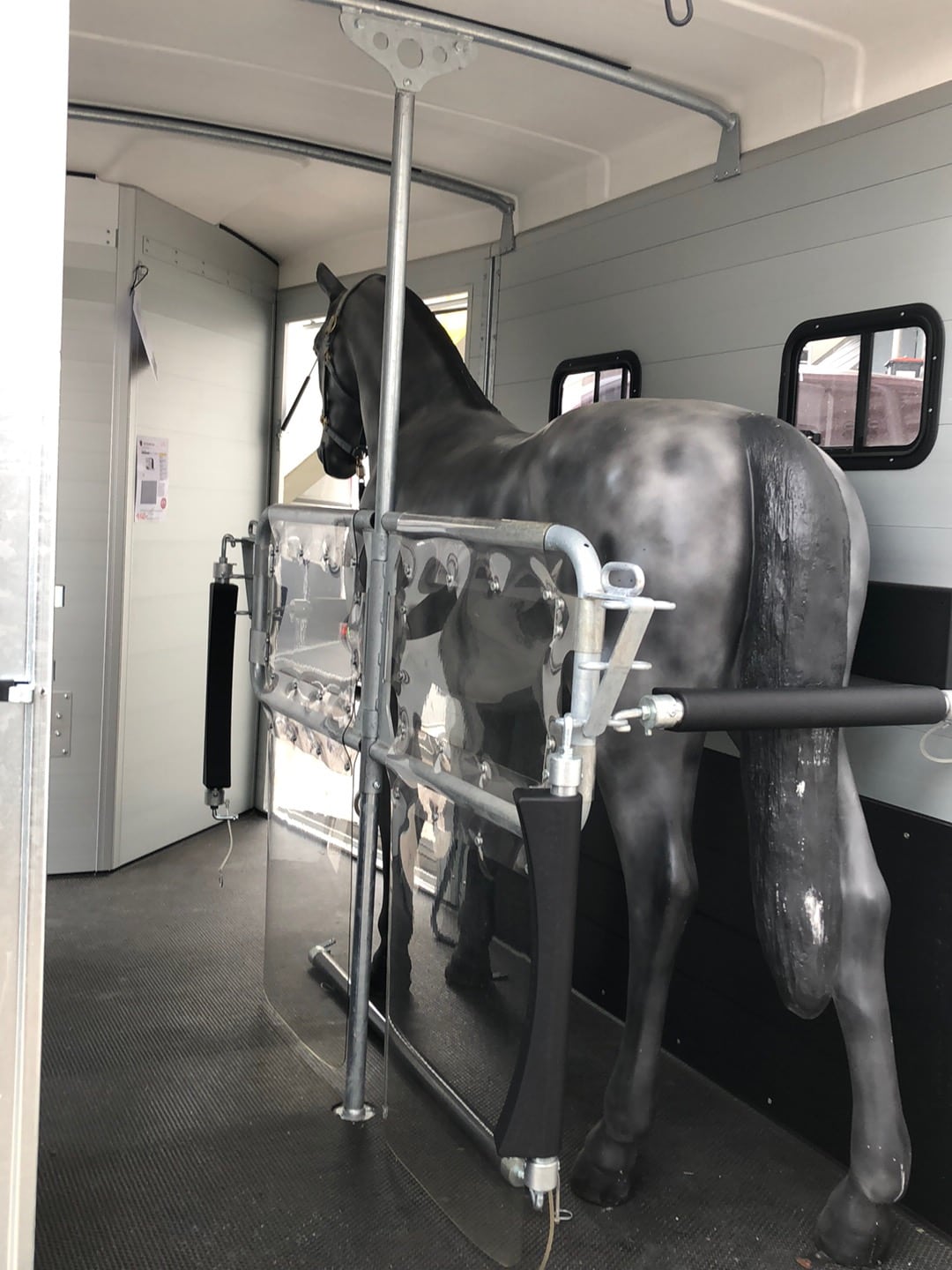 Notos Xtra UP 2700 kg, Pferdeanhänger, Pferdetransporter, Anhänger für Pferdetransport von bis zu 2 Pferden, Check Trailers. Humbaur• – Bild 4