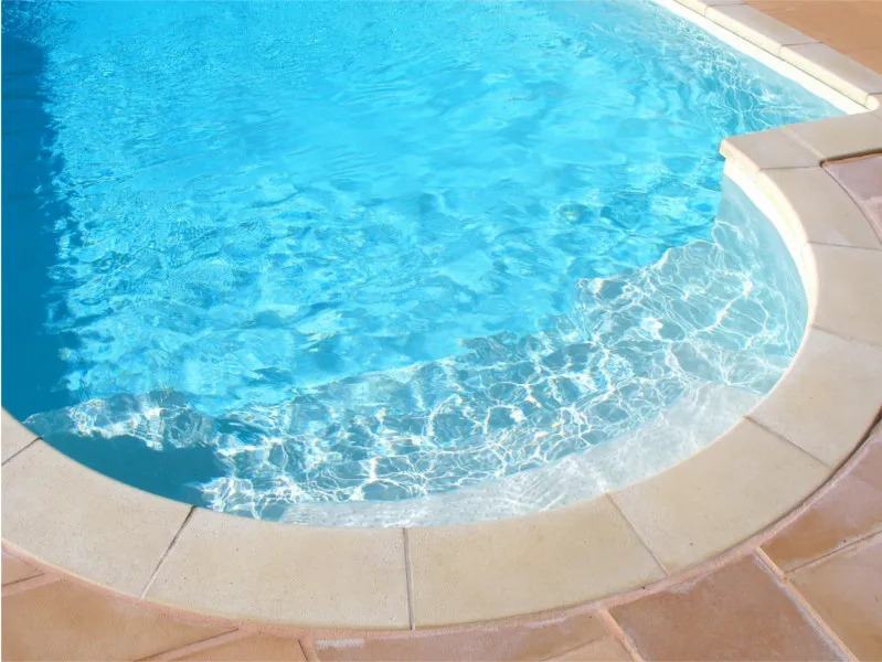 Flock flüssig Flockungsmittel Wasserpflege gegen Trübung DELPHIN 1 Liter – Bild 4